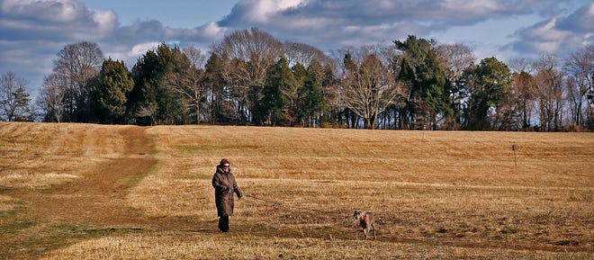 Laurie Rogers of Plymouth and her dog, Elsie, braved the cold and wind Monday to walk at the Bay Farm Conservation Area, which is shared by Kingston and Duxbury.
