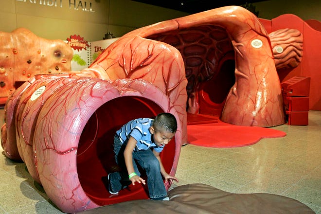 Aaron Flores, 5, of Belvidere crawls out of a small intestine display Saturday, Oct. 2, 2010, in the "Grossology: The (Impolite) Science of the Human Body" exhibit at the Woodward Exhibit Hall, which connects the Discovery Center Museum and the Burpee Museum of Natural History in Rockford.