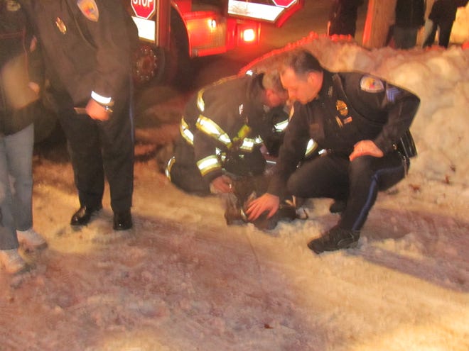 Stoughton Firefighter Brian Ernst and Stoughton Police Sgt. Paul Williams administer oxygen to a Chihuahua overcome by smoke at a house fire in Stoughton New Year's Eve, Dec. 31, 2010.