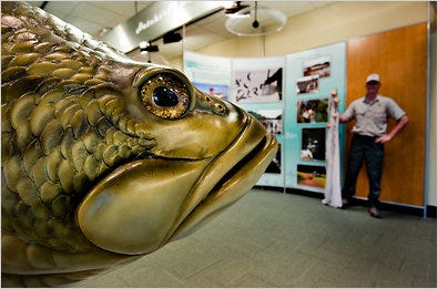 A largemouth bass dominates the hatchery display at Go Fish Georgia Educational Center, a museum financed partly by the state and approved when the economy was more robust.