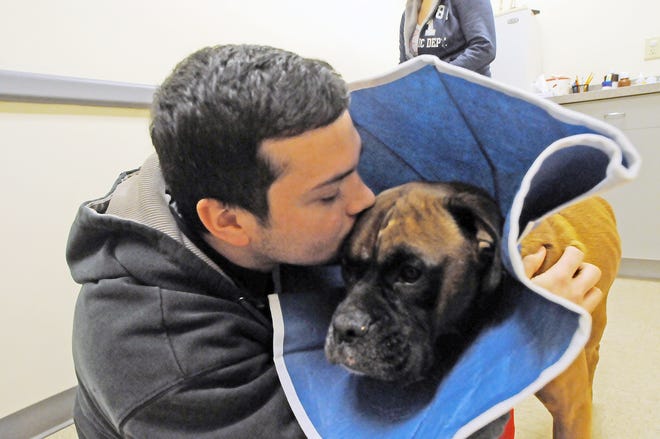 Armand Rebello greets his dog, Jubby, at New England Animal Medical Center in West Bridgewater.