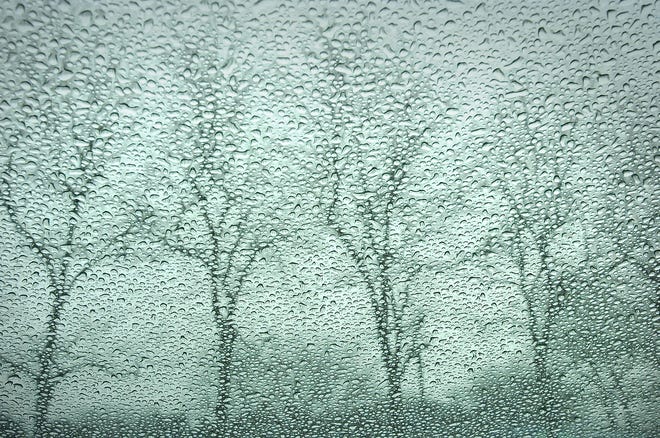 Moisture on a windshield forms an impressionistic view of trees in the parking lot of the John F. Kennedy Library in Dorchester during the snowstorm on Wednesday.