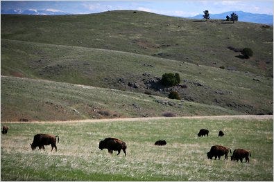 The Flying D Green Ranch near Bozeman, Mont., accounts for part of Ted Turner’s domestic land holdings.