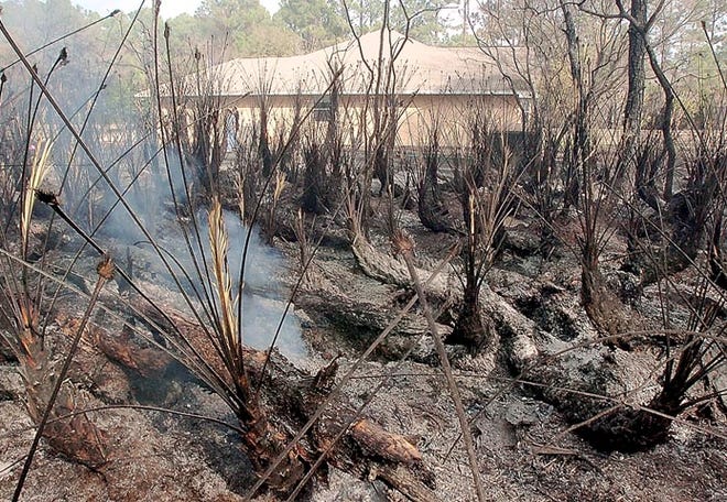 The woods behind the Zaharias' home off State Road 206 were still smoking on Tuesday after a wildfire on Monday.