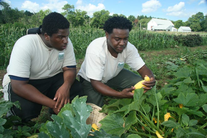 Isaiah Rambert (left) and Wil Bullock of Randolph examine vegetables at the Powisset Farm in Dover. The Randolph Garden Club will start a farmer's market in town this summer.