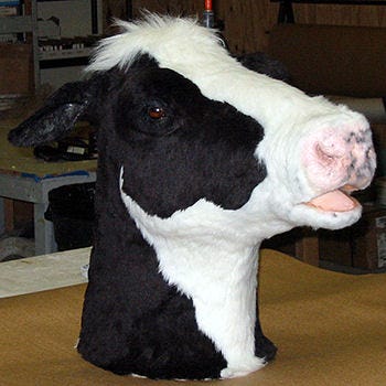 Cow head