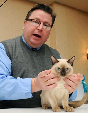 Gary Veach, a judge from the Cat Fanciers Association, presents Kielbasa Kid, a Tonkinese Cat owned by Aurora York of Hampton, Maine, as best kitten during the International Tonkinese Breed Associations Cat Show at the Doubletree Inn in Milford yesterday afternoon.