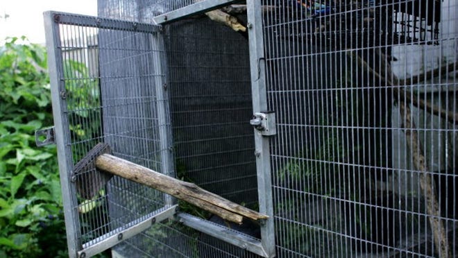 FILE PHOTO. A cage door, which was pried open by animal thieves at the Palm Beach Zoo where five animals went missing.