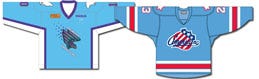 The Rochester Knighthawks and the Amerks have teamed up with Urology Associates of Rochester and will wear these blue jerseys on given dates to help raise awareness about prostate cancer.