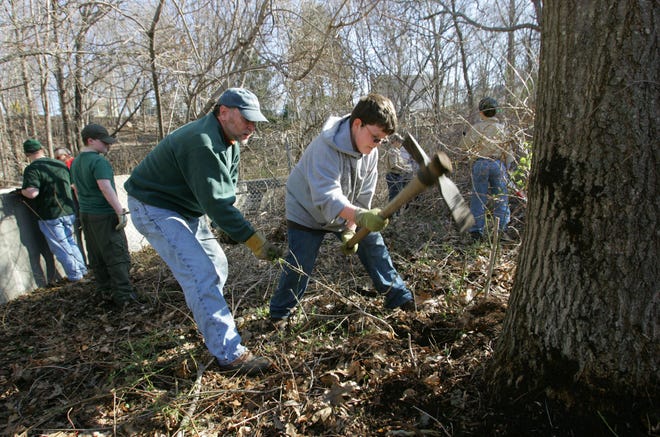 Weymouth, MA 04/03/2010Patrick Condon of Boy Scout Troop 92 digs up brush by the roots under the guidance of Bob Wilkinson during the annual cleanup of the Herring Run in Weymouth on Saturday.