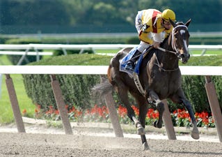Blowing away the competiton in the 2009 Mother Goose Stakes (GR I) at Belmont Park by 19 1/4 lengths was Rachel Alexandra ridden by Calvin Borel. Nancy Rokos 2009