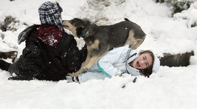 Photo by Amy Paterson/New Jersey Herald 
 
Gracie, a 7-month-old lab shepherd mix, jumps on Gabby Caselnova, 10, and licks Carol Mathusek, 12, after their sled tipped in Caselnova's backyard in Sparta on Wednesday.
