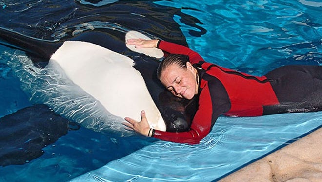 The 12,000-pound Tilikum pulled Dawn Brancheau, 40, into his tank, where she drowned.