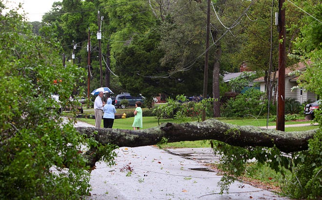 St. Augustine South neighbors talk near a large oak tree that fell across Cypress Road, taking down the power lines and hitting a house after an afternoon storm on Wednesday. By DARON DEAN, daron.dean@staugustine.com