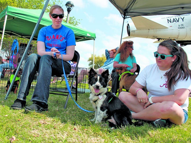 One-year-old spaniel/terrier mix Sandi plays with Humane Society volunteers Karen Harrell and Allison Copus at the "Tour for Life" adoption tour at the University Mall War Memorial Thursday.
