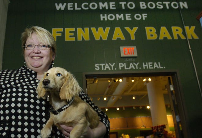 Fenway Bark owner Jane Fulton of Marshfield with one of her guests. The luxury pet hotel can accommodate up to 200 dogs and cats at one time with amenities galore and private suites that start at $56 a night.