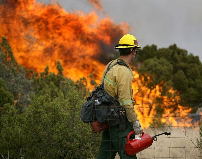 TRAVIS MCGREGOR  a firefighter called in from California, watches juniper bushes erupt in flames this week as he and another crew light a burnout line to meet an approaching wildfire in Texas.