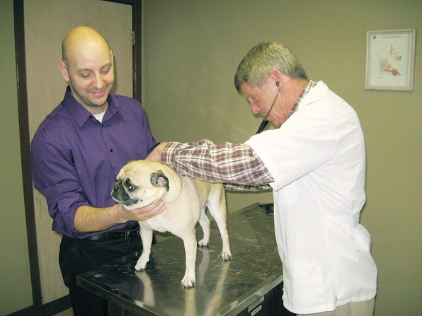 Michael Zumpano, left, of Farmington with his puggle, Kya, during the dog's yearly check-up with Dr. Bruce Campbell of Finger Lakes Animal Hospital.