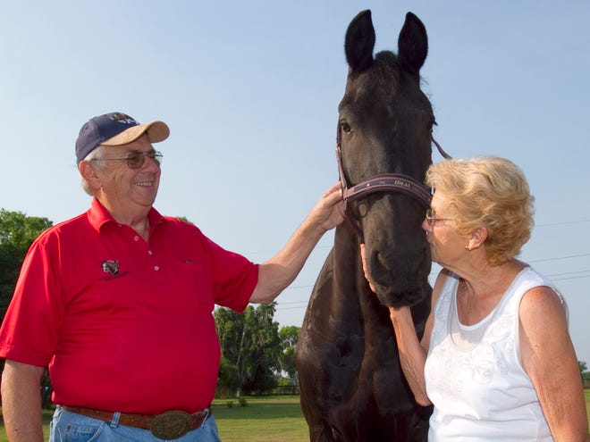 Jack and Carol Angelbeck spend some time with "Joop," 11, a Friesian colt, at Bluffview Farm in Ocala, Fla., on Friday.