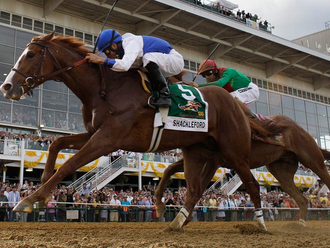 Shackleford (5), ridden by Jesus Castanon, moves through the finish line to win the 36th Preakness Stakes horse race at Pimlico Race Course, Saturday, May 21, 2011, in Baltimore. Animal Kingdom, behind, ridden by John Velazquez, took second place.