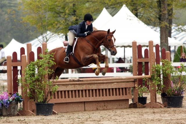Rachel Crinklaw and Moulin Rouge won the Children's Hunter Horse Classic at the 2011 Fieldstone Spring Festival on Friday, May 20, 2011.