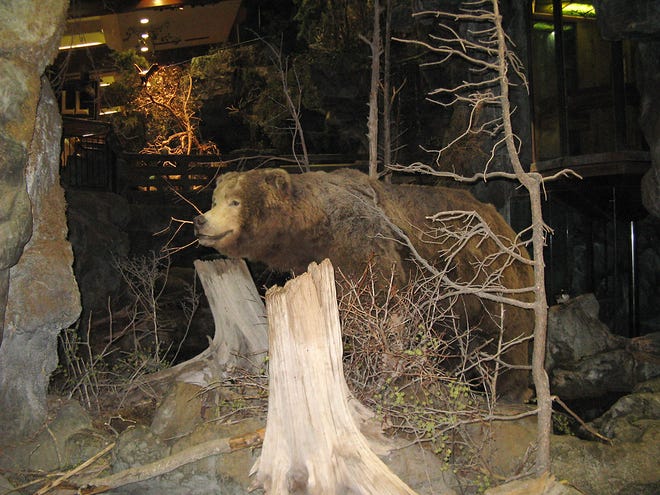 Springfield's Bass Pro Shops delights with animal displays