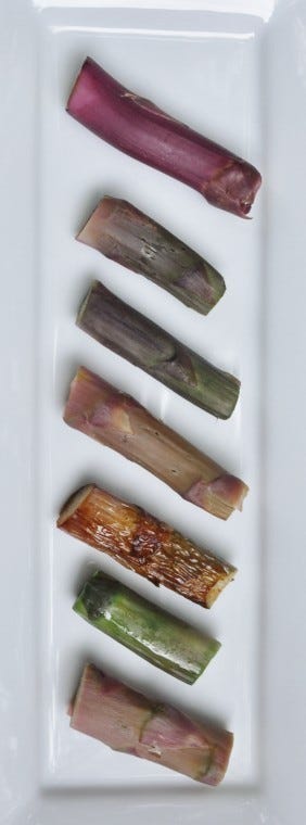 Experiments with purple asparagus (from top): raw, boiled, steamed, cooked in acidified water, sauteed, cooked in alkaline water, cooked in water with twice as much vinegar