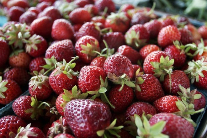 Fresh strawberries from Shady Brook Farm. File photo.