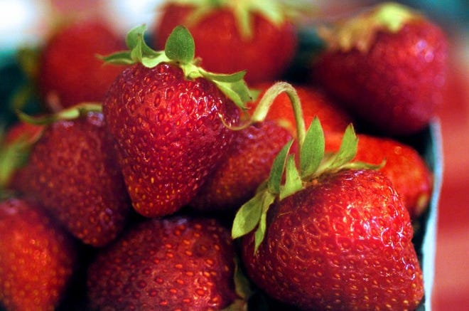 Johnson's Farm Market in Medford is serving up some fresh picked or pick your own strawberries.