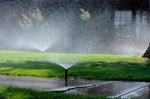The sprinkler system waters a yard along Gainsborough Drive.