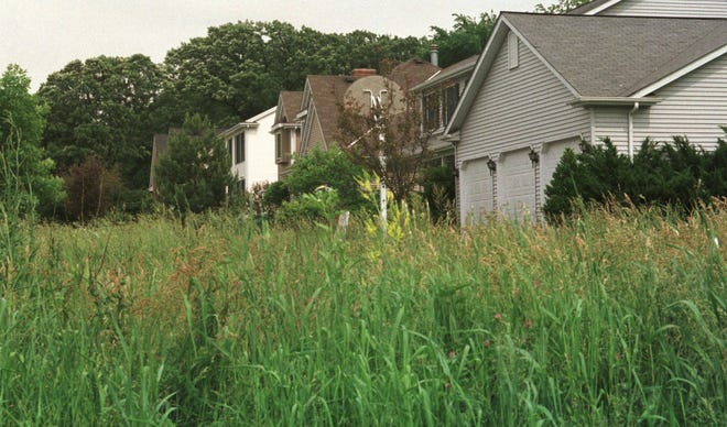 In June 1998, weeds had grown waist-high in an undeveloped lot in the 5400 block of Roanoke Road in Rockford. The lot has since been developed, but officials say a wet spring and foreclosed houses have led to thousands of complaints of unkempt areas in the city.