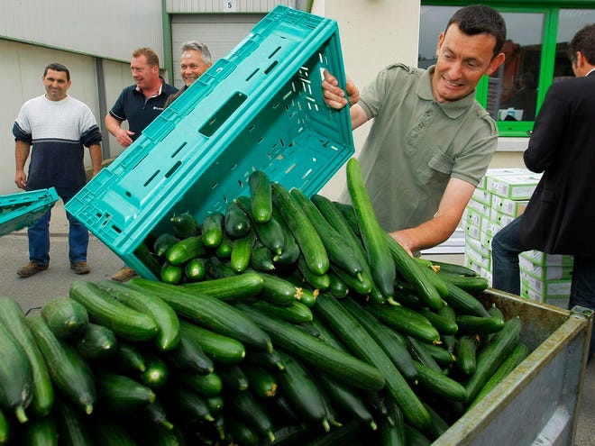 A farm worker empties cucumbers into a container after failing to sell them due an ongoing food crisis in Europe, in Carquefou, western France, Monday, June 6, 2011. The current crisis is the deadliest E. coli outbreak in modern history, and the outbreak is being blamed on a highly aggressive, "super-toxic" strain of E. coli. (AP Photo/Jacques brinon)