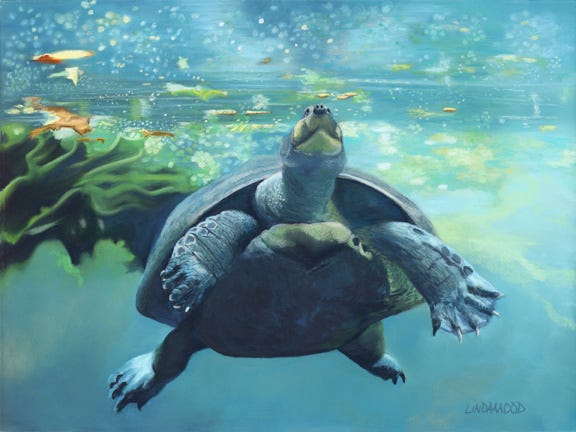 This turtle painting is on view July 1 through Aug. 28 as part of the Second Annual Judith Ryan Williams Nature & Wildlife exhibit at the St. Augustine Art Association, 22 Marine St., downtown St. Augustine.