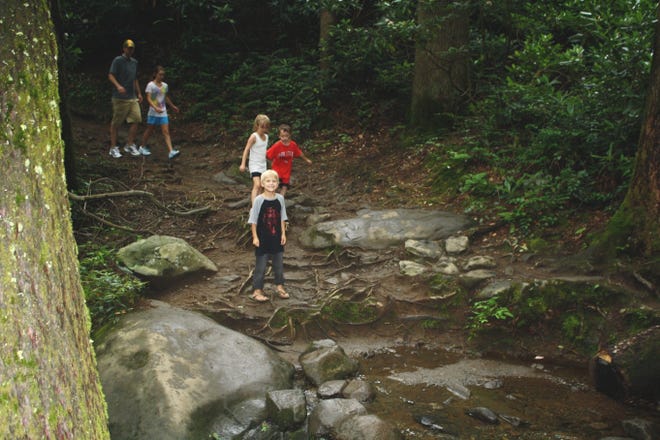 Hikers enjoy the view along the trail to Grotto Falls in the Smokies.