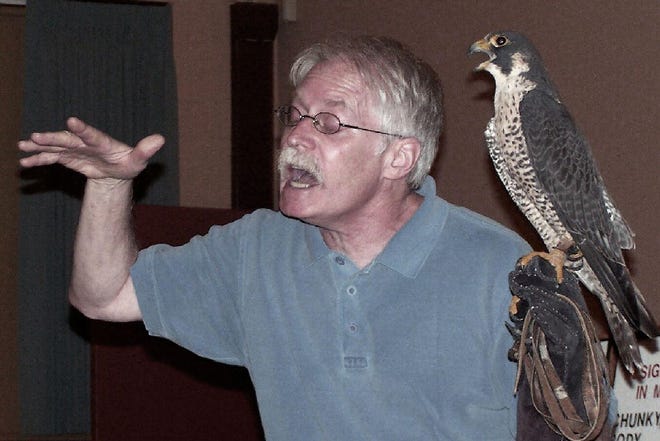 Bill Streeter of the Delaware Valley Raptor Center presents and explains a peregrine falcon,.