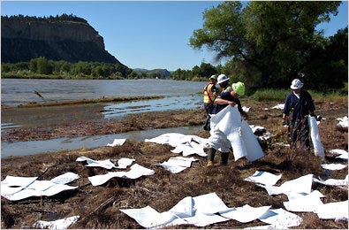 Exxon Mobil contractors worked to clean up oil along the banks of the Yellowstone River in Billings on Sunday.