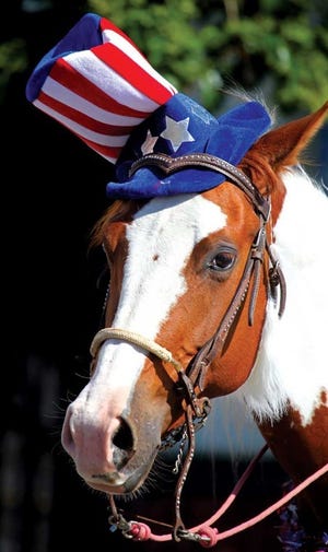 Even a parade horse showed patriotism in Alameda, Calif.