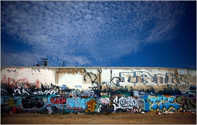 In major cities like Los Angeles, a bumper crop of scrawls has blossomed.