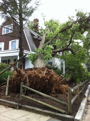 A 30-foot-plus tree smashed into a city dentist’s office at 76 South St. Saturday, July 23, 2011.