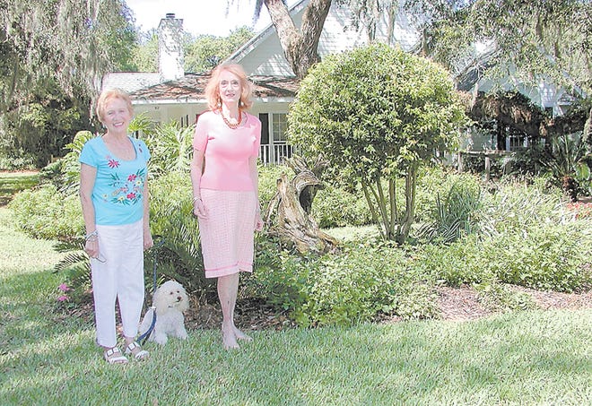 Mimi Selig, left and Esther Whetstone, Las Adelfas Circle, flank family pet, Sammy, a 3-year-old toy poodle, who had no trouble posing for the camera. In the flower bed are lantana, petunia, an allamanda vine and coontie, an unusual Florida native, that is a cycad -- a 'living fossil.' These primitive plants were a dominant form of plant life during the dinosaur age. They surround a piece of wood brought by the Seligs from Chesapeake Bay. Photos by FRED WHITLEY, fred.whitley@staugustine.com