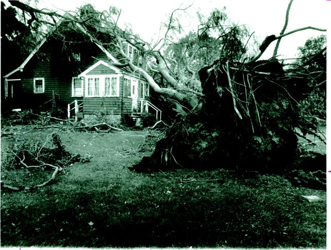 A tree was uprooted and came to rest on a house in Taunton during Hurricane Gloria in 1985.
