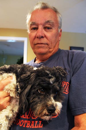 Happy, a 3-year-old black-and-white Havanese, is reunited Friday with his owner, Jim Bannister, at their Stoughton home.