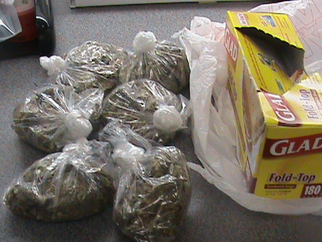 Some of the marijuana seized in the drug raid.