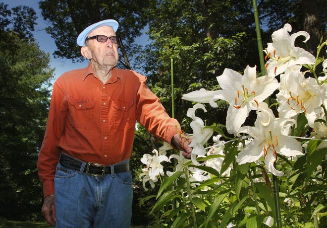 Clyde Gurney, who will soon turn 94 years old, keeps active by tending to his Scituate garden, which includes lilys and tulips. He stands by lilys he planted for his late wife, Wednesday, August 03, 2011.