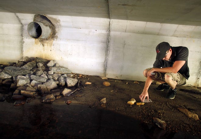In this Aug. 2, 2011 photo, University of Massachusetts-Dartmouth student Matt Gonneville inspects animal tracks found in a rebuilt culvert in Taunton. An ambitious project is underway to survey and evaluate river and stream crossings, with an emphasis on culverts, around New England. The goal is to protect fish and other wildlife attempting to navigate through the culverts, and humans who rely on the safety of the roads above.