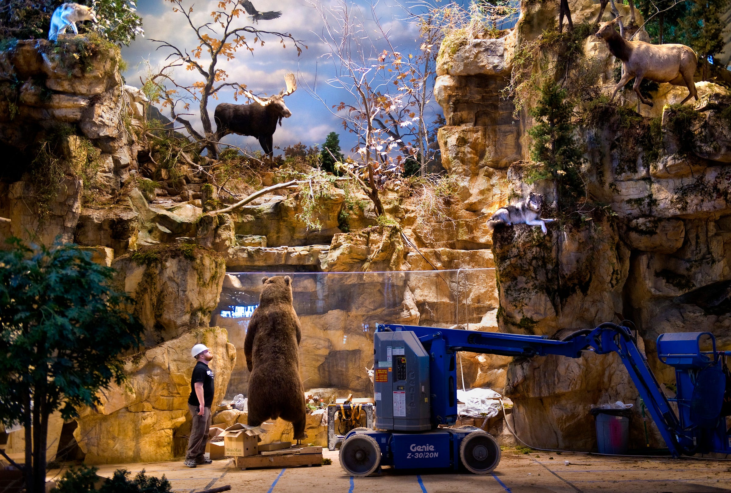 Are Dogs Allowed At Bass Pro Altoona Iowa