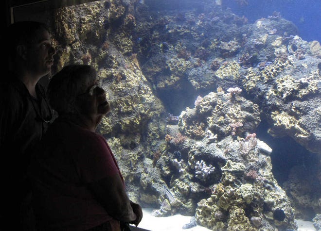Robert Whitton, left, of Kaaawa, Hawaii, and his mother, Patricia Forrest, of Hauula, Hawaii, look at new marine life exhibit at the Waikiki Aquarium in Honolulu, Hawaii.