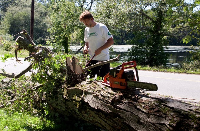 Norton resident, Joe DeNicola, works on an old tree that had fallen in his front yard due to the winds of Sunday's storm.