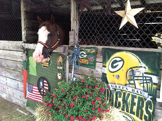 Green Bay, a quarter horse, shows his team spirit as a Packer fan at the Chippewa County Fair in Kinross on Thursday.