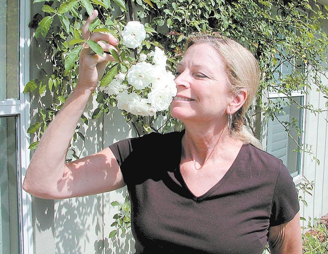 Susan McDonnell stops to smell the roses, in this case, a climbing Prospertiy rose.